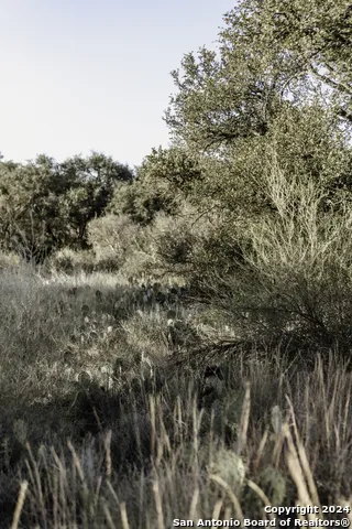 TBD W RR 962 Round Mountain, TX 78663