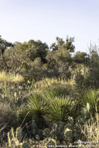 TBD W RR 962 Round Mountain, TX 78663