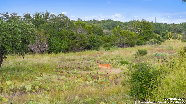TBD W RR 962 Round Mountain, TX 78663