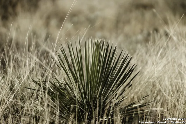 TBD W RR 962 Round Mountain, TX 78663