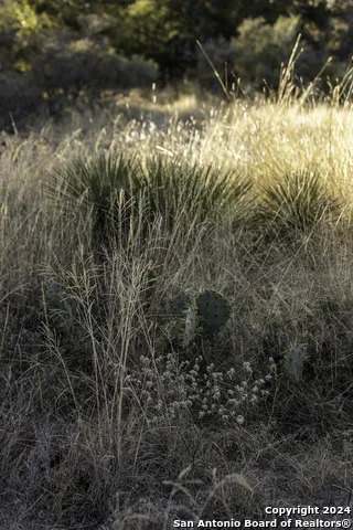 TBD W RR 962 Round Mountain, TX 78663