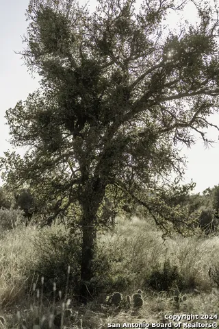 TBD W RR 962 Round Mountain, TX 78663
