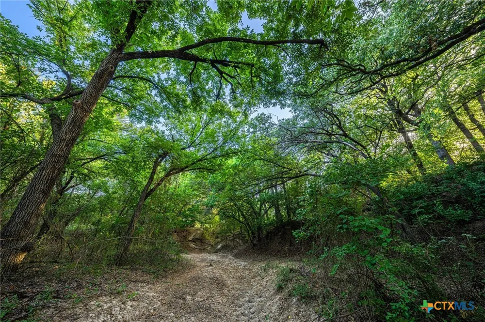 3021 FM 1689 Comanche, TX 76442