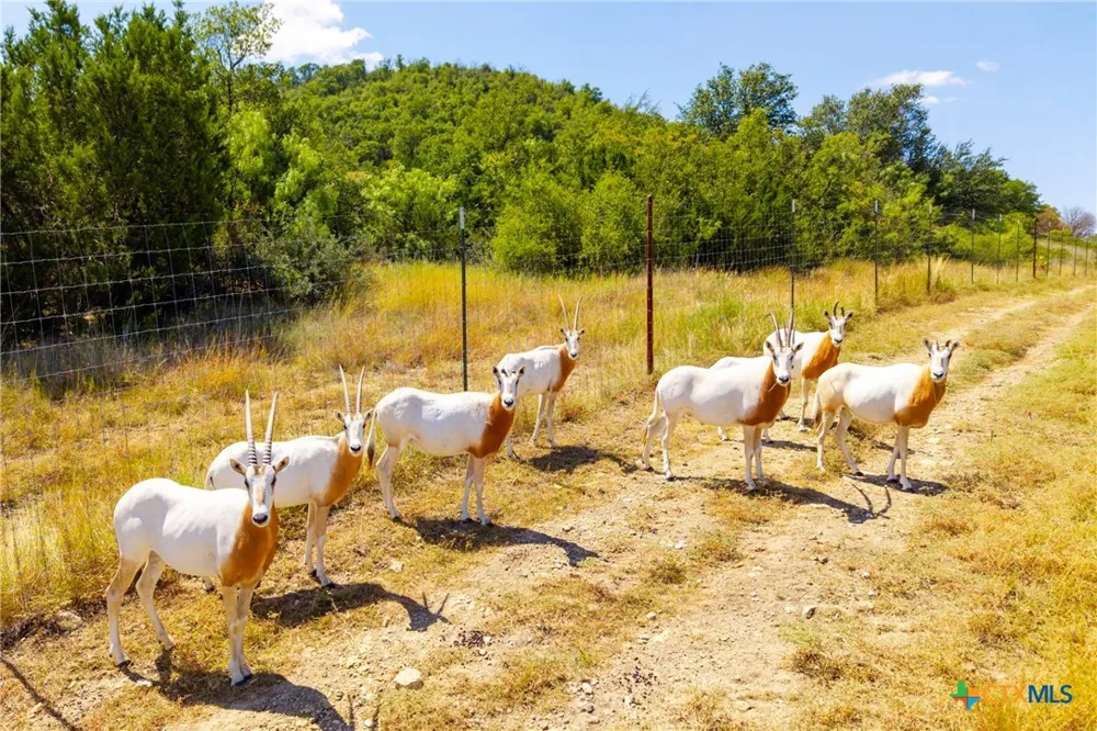 3021 FM 1689 Comanche, TX 76442