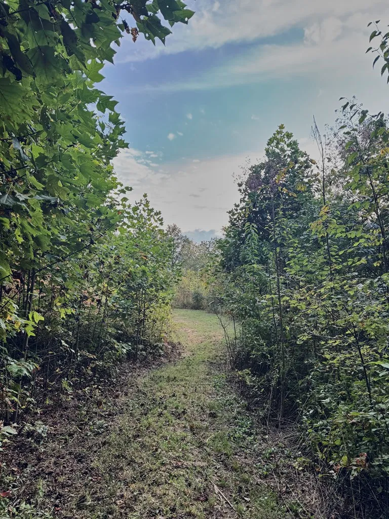 Legacy Lane Robbinsville, NC 28771