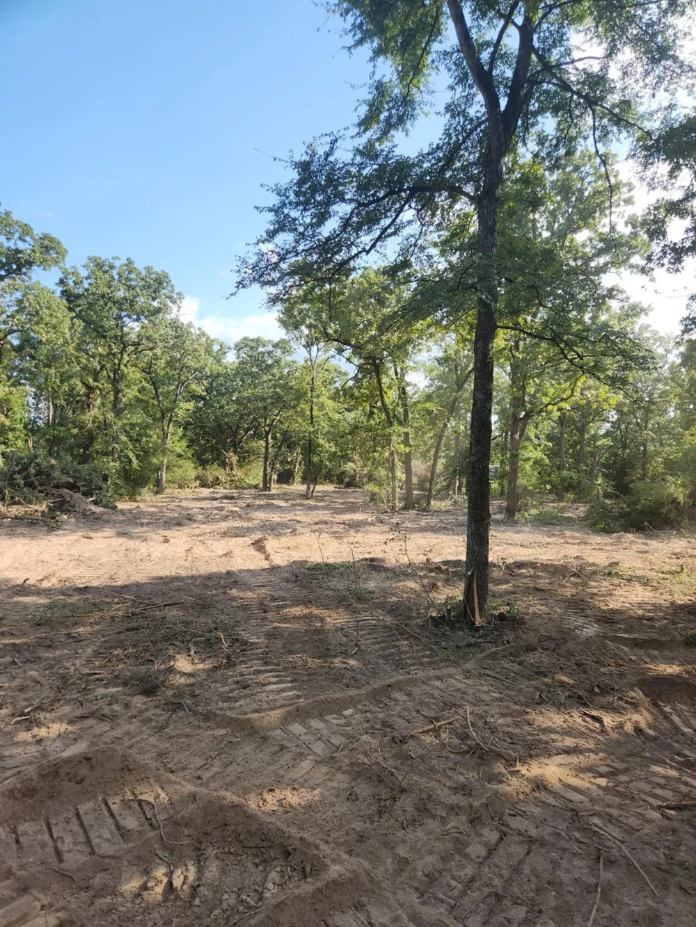 13319 Tyler Ln Franklin, TX 77856