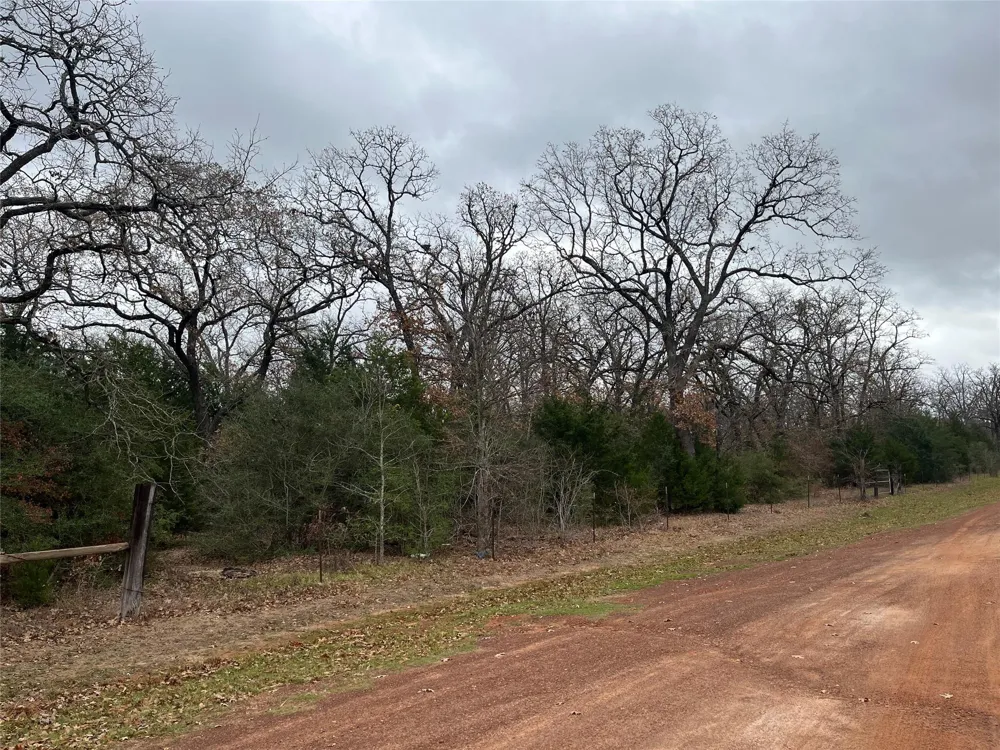 13319 Tyler Ln Franklin, TX 77856