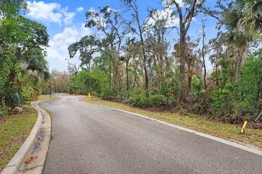 4872 RAMBLING RIVER ROAD Brandon, FL 33511