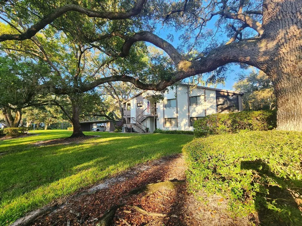 603 BALDWIN AVENUE #B Safety Harbor, FL 34695