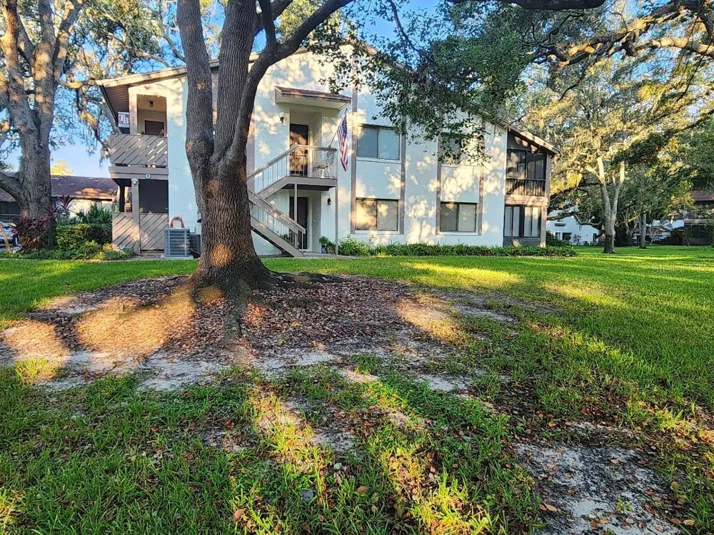 603 BALDWIN AVENUE #B Safety Harbor, FL 34695