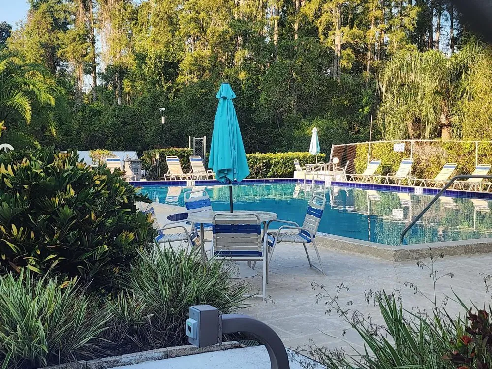 603 BALDWIN AVENUE #B Safety Harbor, FL 34695