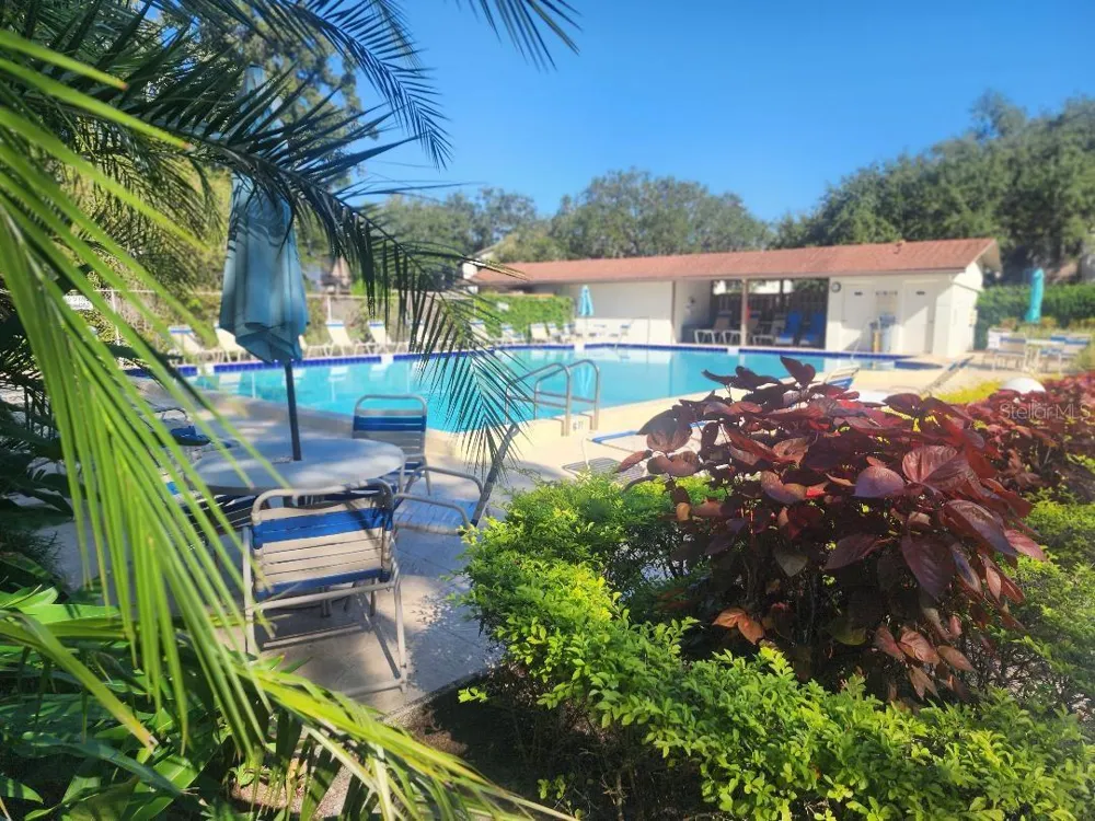 603 BALDWIN AVENUE #B Safety Harbor, FL 34695