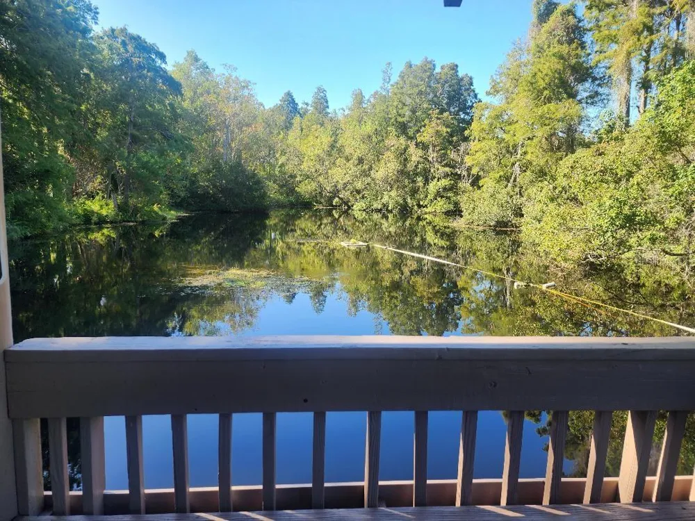 603 BALDWIN AVENUE #B Safety Harbor, FL 34695