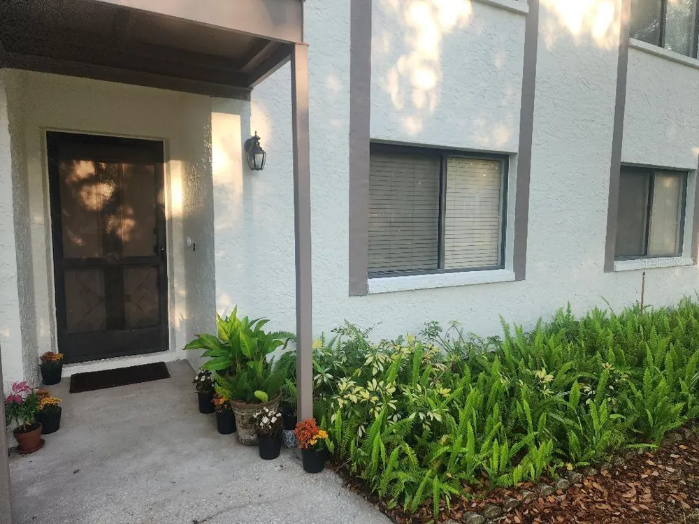 603 BALDWIN AVENUE #B Safety Harbor, FL 34695