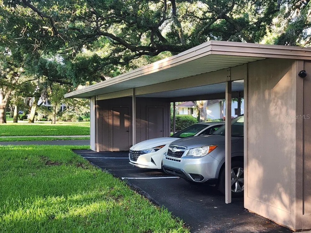 603 BALDWIN AVENUE #B Safety Harbor, FL 34695