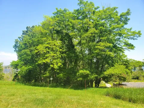 3 Old Channel Trail