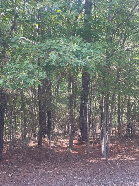 Ferry Lake Tract B