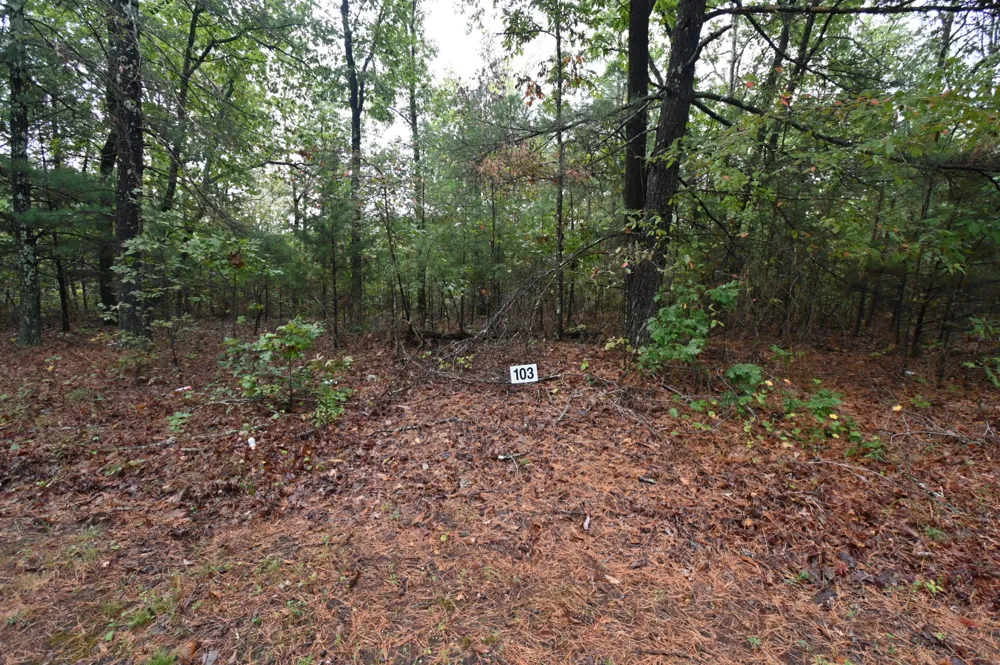 62 Hardison Ln Linden, TN 37096