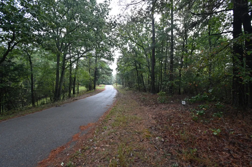 62 Hardison Ln Linden, TN 37096
