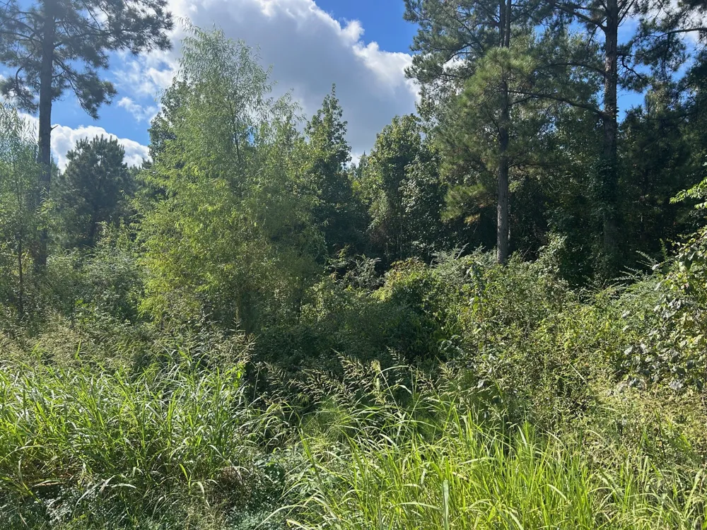 cottonwood Frierson, LA 71027