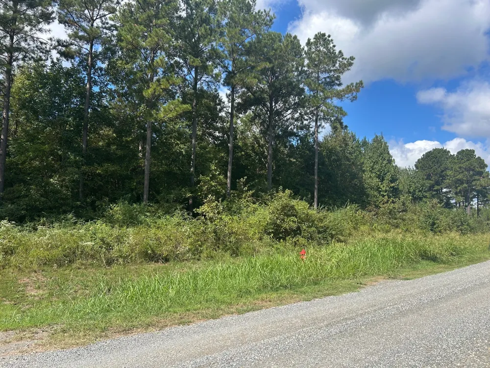 cottonwood Frierson, LA 71027