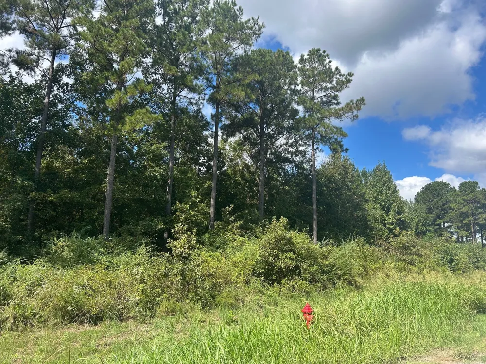 cottonwood Frierson, LA 71027