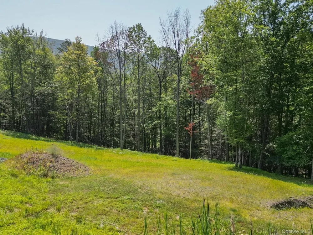 61 Hillside Drive Shokan, NY 12494