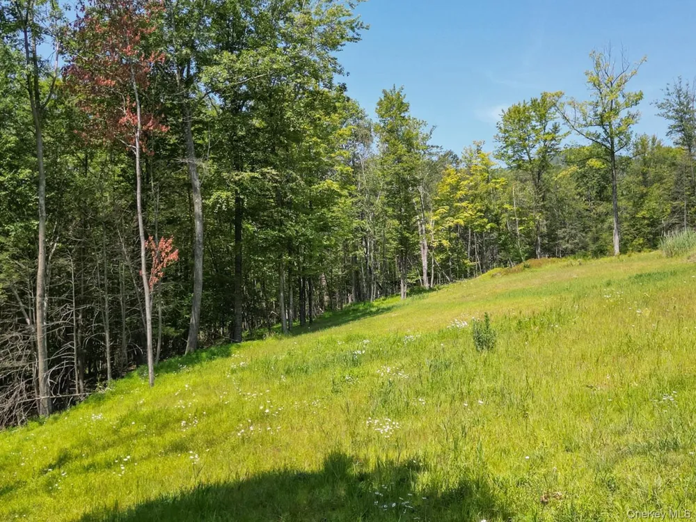 61 Hillside Drive Shokan, NY 12494