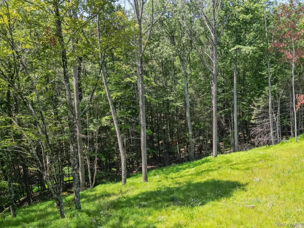 61 Hillside Drive Shokan, NY 12494
