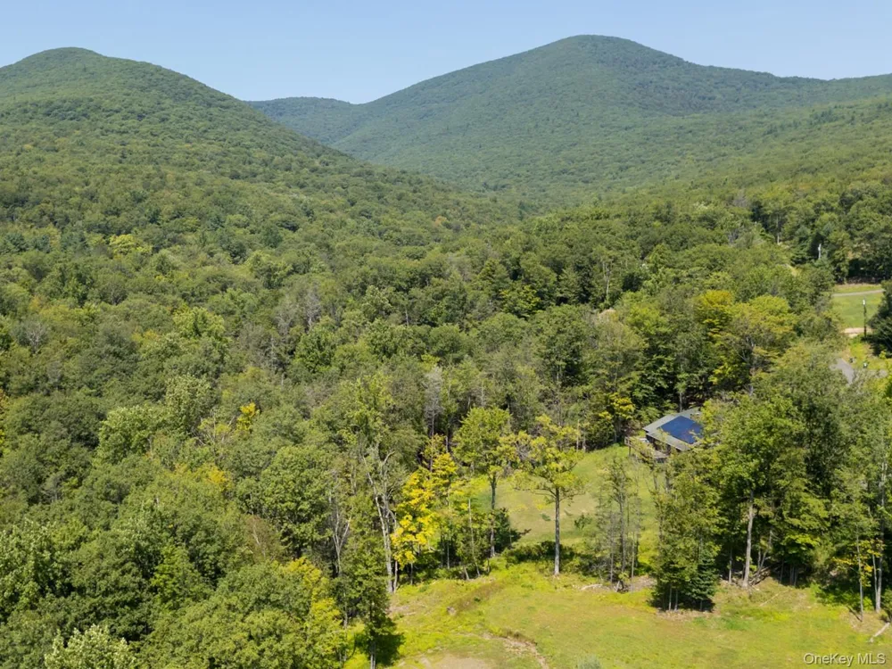 61 Hillside Drive Shokan, NY 12494