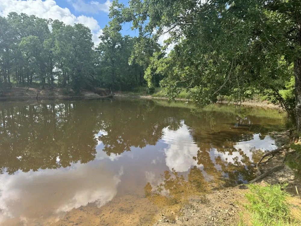 Allen Road Montague, TX 76251