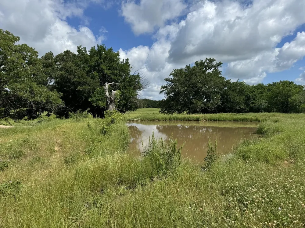 Allen Road Montague, TX 76251