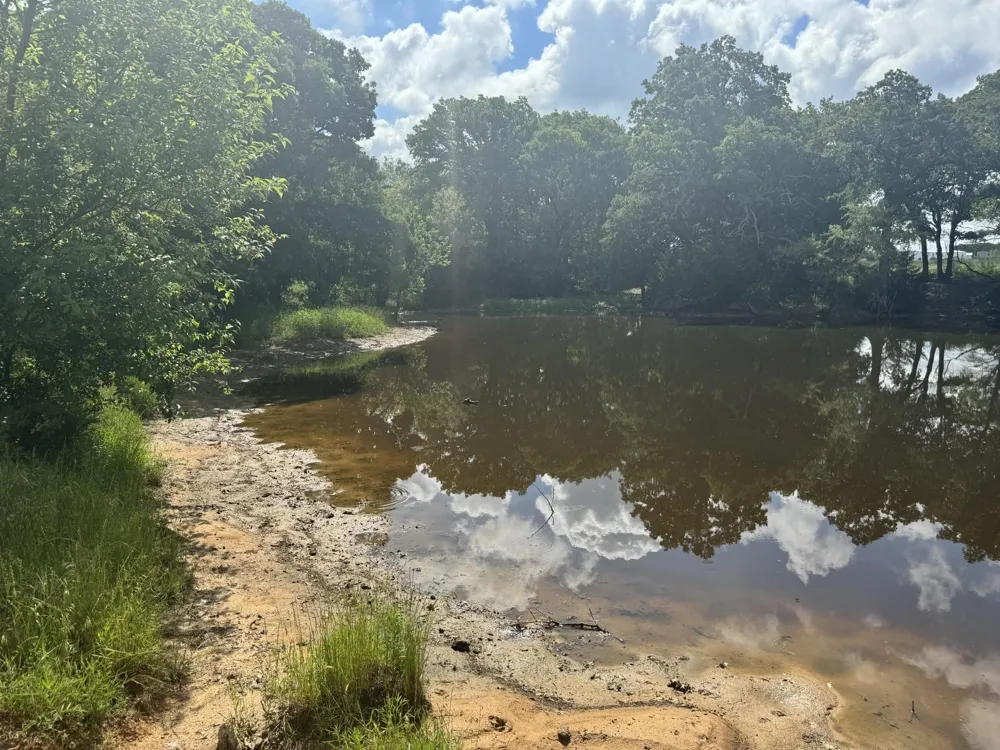 Allen Road Montague, TX 76251