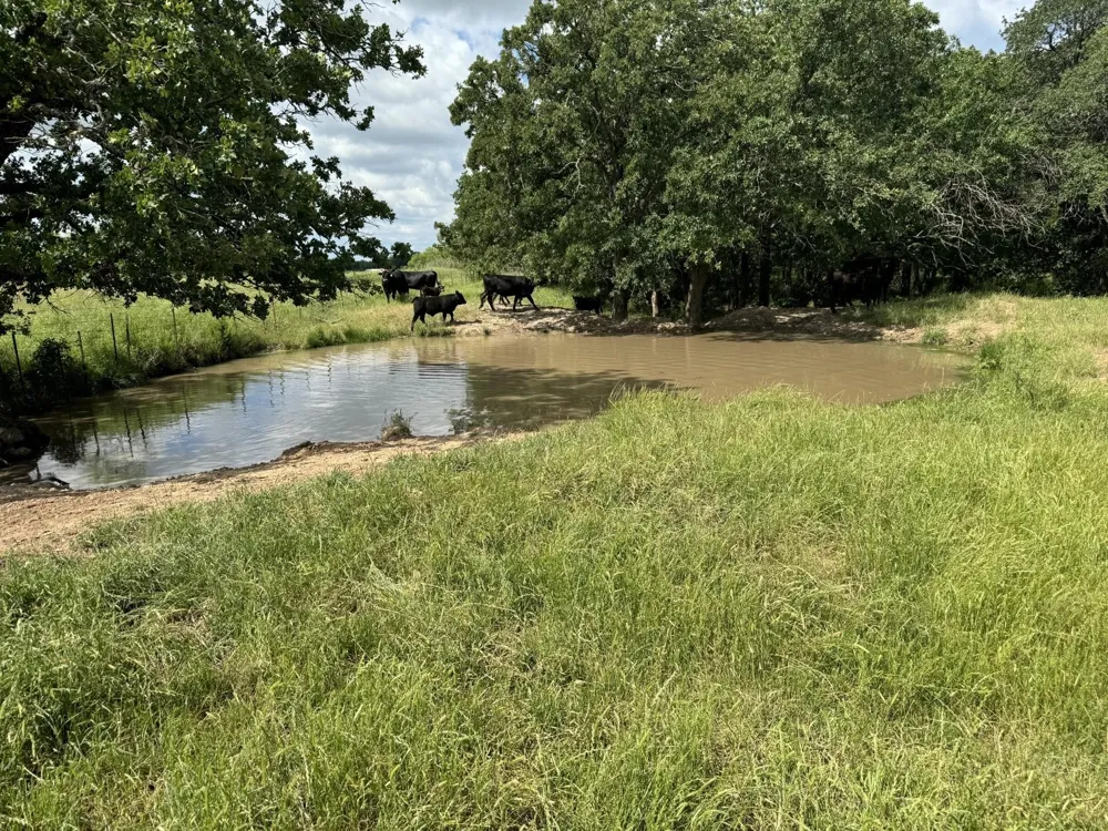 Allen Road Montague, TX 76251