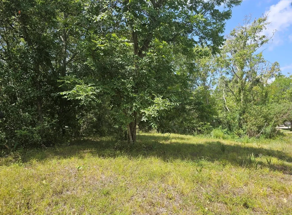 Cr-825e West Columbia, TX 77486