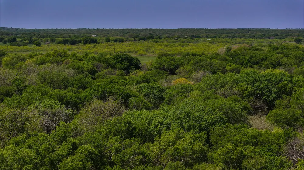Rock Springs School Rd Montague, TX 76251