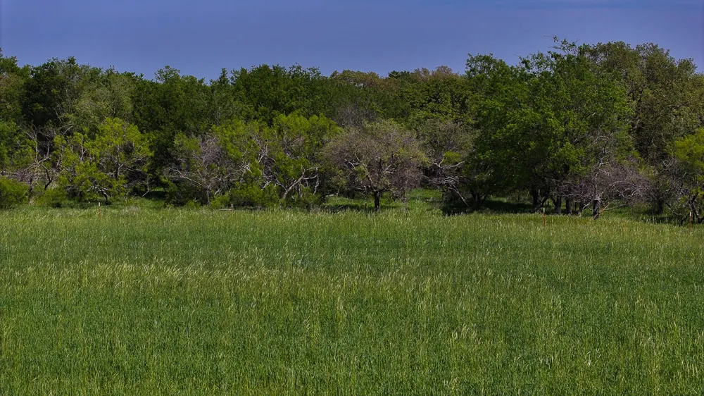 Rock Springs School Rd Montague, TX 76251