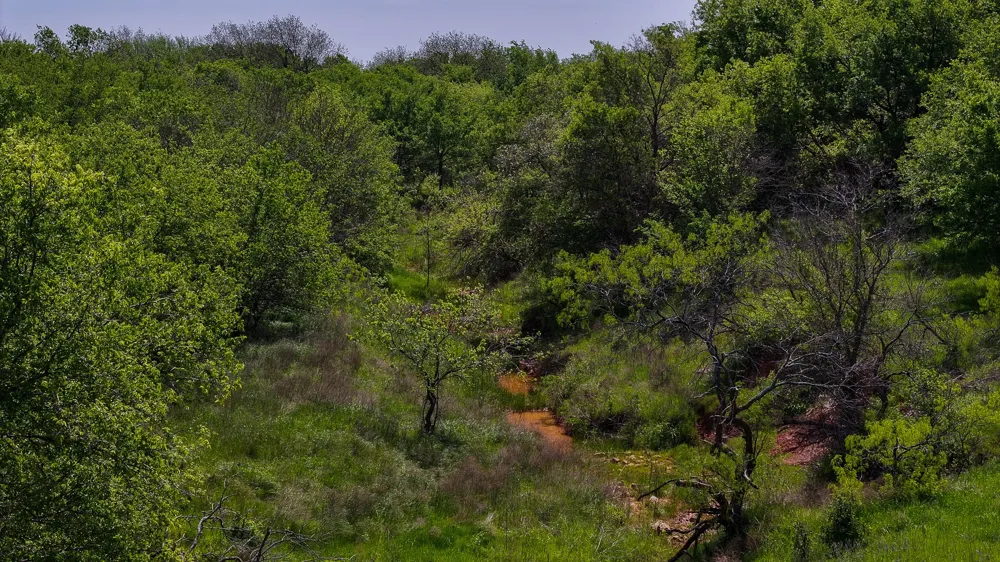 Rock Springs School Rd Montague, TX 76251