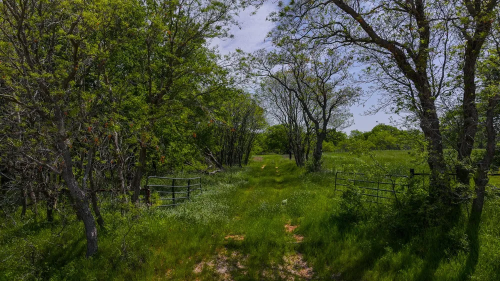 Rock Springs School Rd Montague, TX 76251