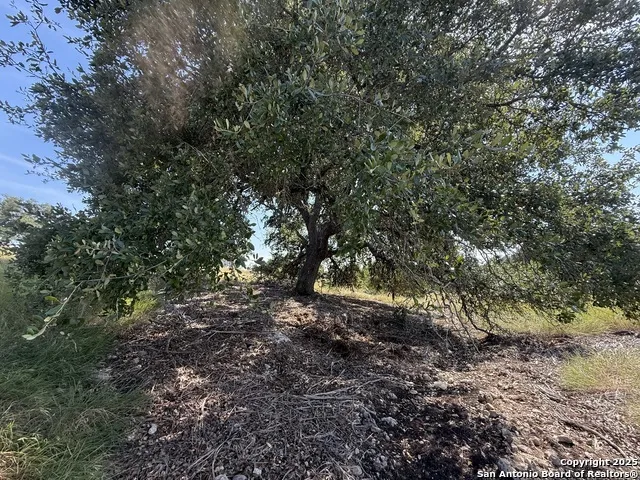 LOT 51 S Walcott Ridges Dr Kerrville, TX 78028