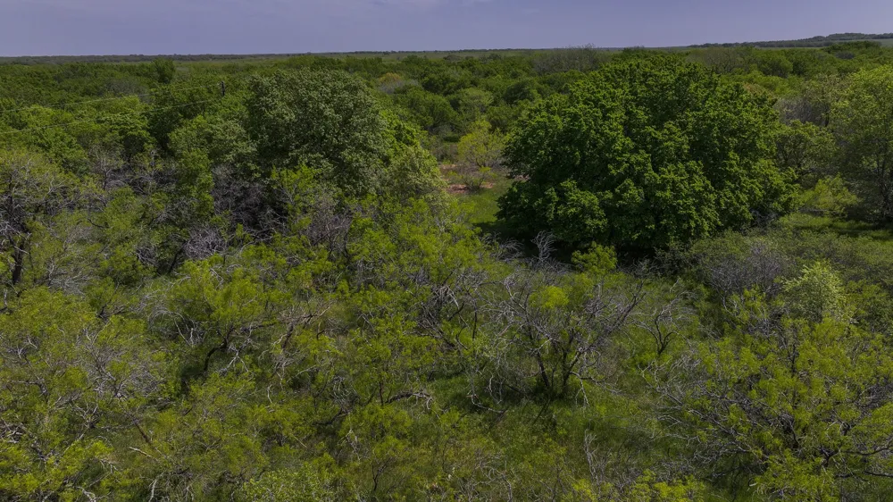 Rock Springs School Rd Montague, TX 76251