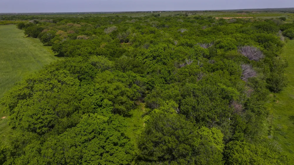 Rock Springs School Rd Montague, TX 76251