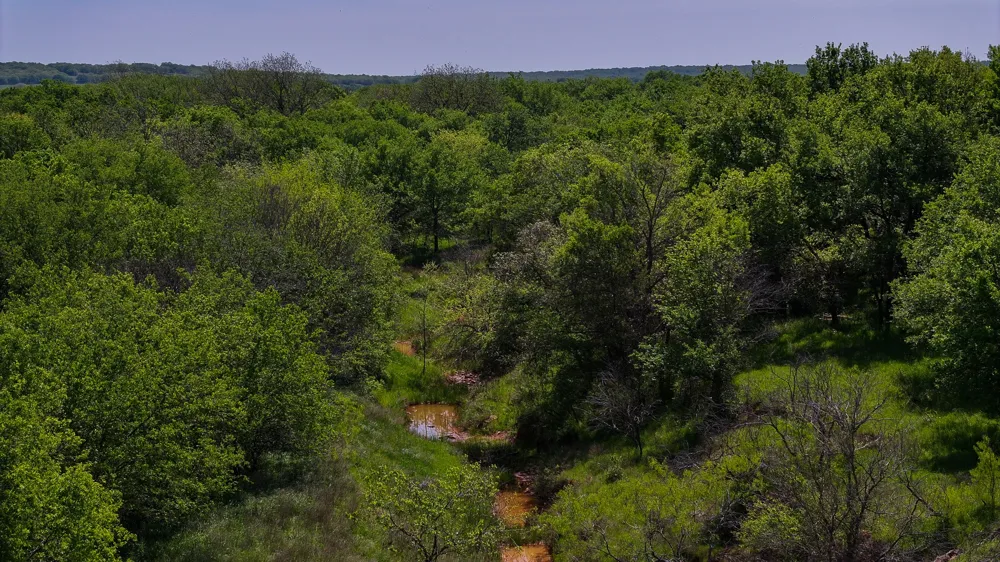 Rock Springs School Rd Montague, TX 76251