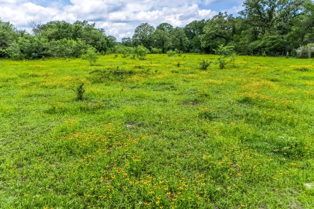 237 Hwy 36 S Caldwell, TX 77836