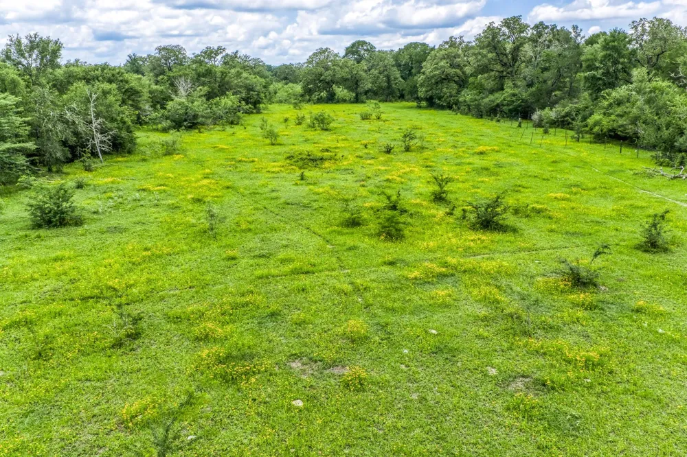 237 Hwy 36 S Caldwell, TX 77836