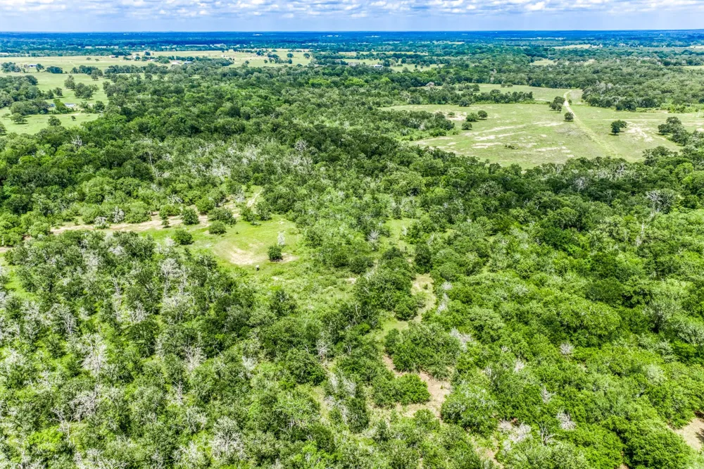 237 Hwy 36 S Caldwell, TX 77836