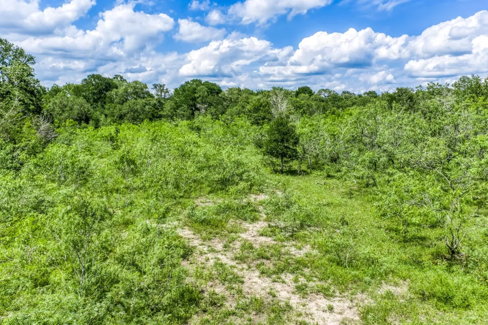 237 Hwy 36 S Caldwell, TX 77836