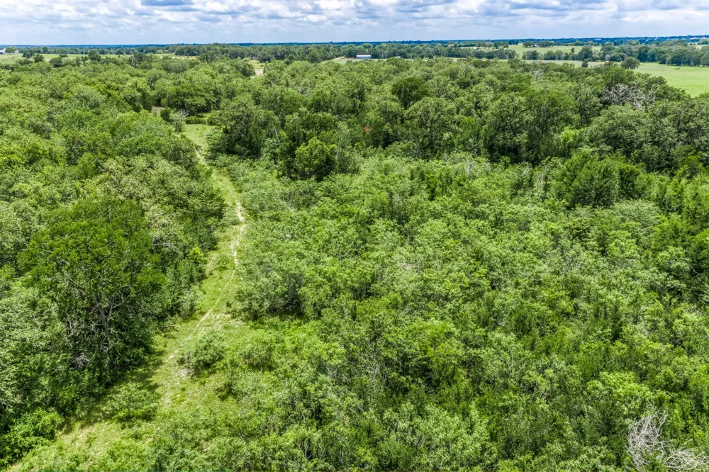 237 Hwy 36 S Caldwell, TX 77836
