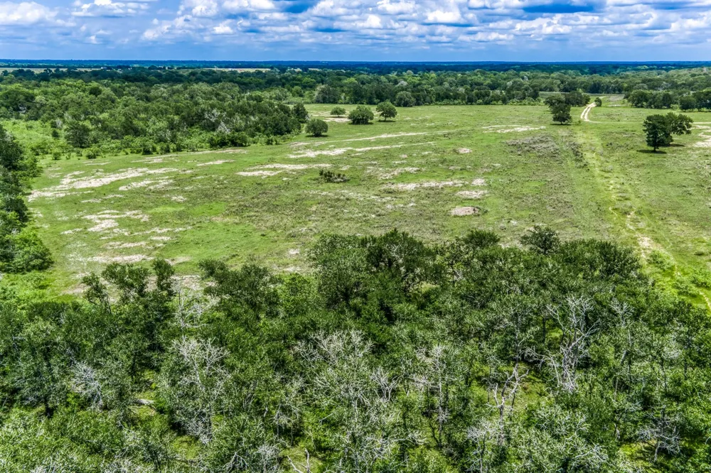 237 Hwy 36 S Caldwell, TX 77836