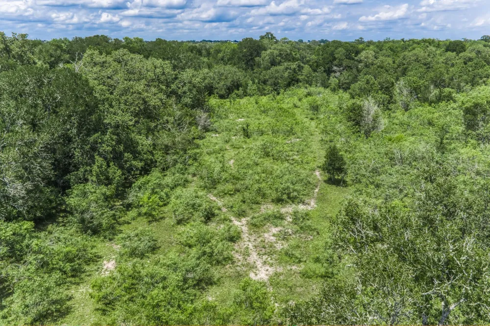 237 Hwy 36 S Caldwell, TX 77836